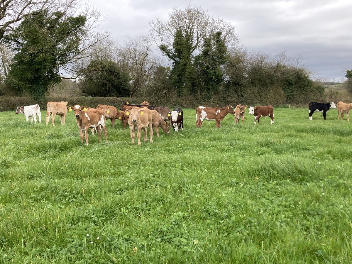 Catherine tweet media