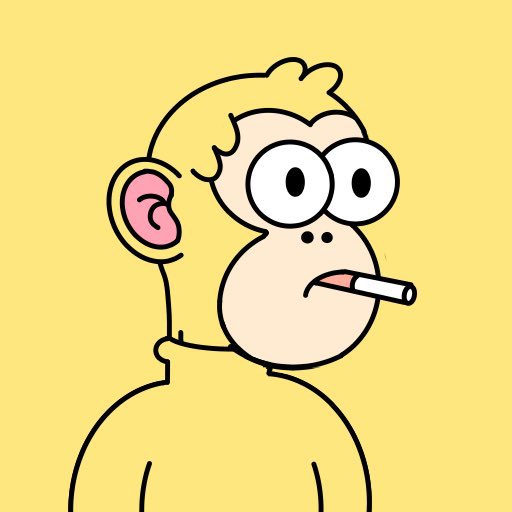 Bomber86 tweet media