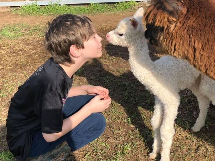 Often G/T kids have wide interests. It might take a little work to help your child find extracurriculars they can flourish in. Networking with other parents or can help you to come up with ideas for these kids to explore.❤️🎉😍 -Jessica #GTAwarenessWeek #whyGT #whyGT