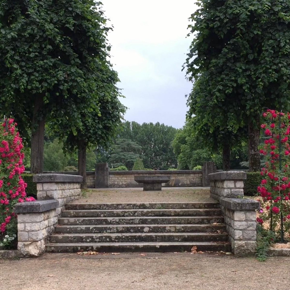 The Film-Makers’ Cooperative tweet media