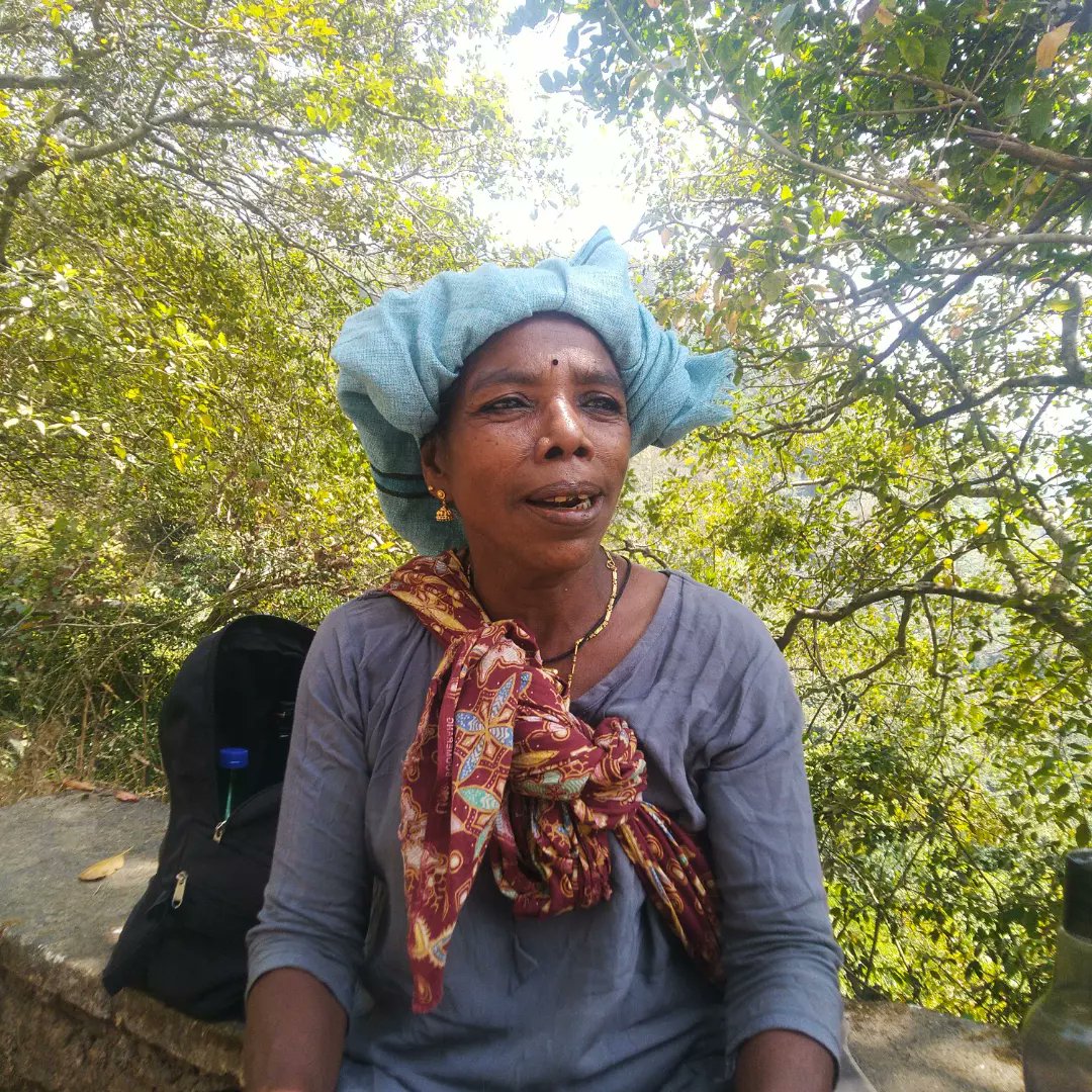 forestpost_in's tweet photo. Getting to know Chandrika has been nothing less than a revelation. She is a storehouse of Kadar ethnobotanical knowledge.
Seeing the forest through her eyes has enriched us so! https://t.co/TmnpFoPrcA