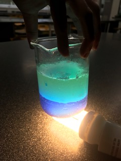JHGS_Science's tweet photo. KS3 science club with Miss Doxopoulou making lava lamps using chemicals you can find around the house (maybe not the beaker though!) ⚗️🧪
#ks3scienceclub #bemorechemistry #Chemistry https://t.co/BAux82vggX