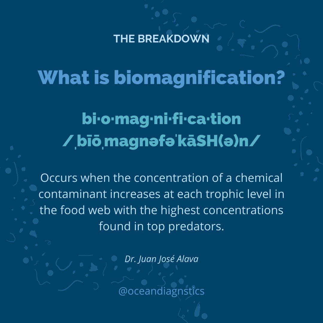 oceandiagnstics's tweet photo. #Biomagnification: when the concentration of a #chemical #contaminant is higher in #toppredators compared to the prey  

Dr. @pinipedo explains the differences between #biomagnification and #bioaccumlation here: https://t.co/gvpJRxFNXn 

@UBCoceans @UBC #BeatPlasticPollution https://t.co/MUruF7VLwu