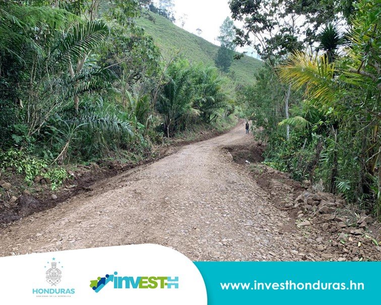 INVEST-Honduras tweet media