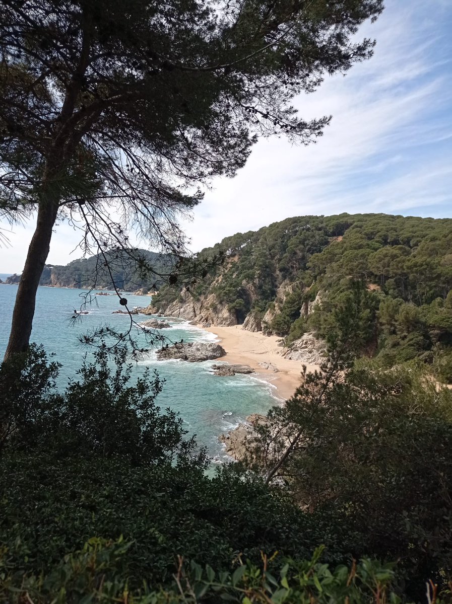 elgoscantaire's tweet photo. Jornada més que rodona de @trlaselva,  reunió a @azurehotel  de Lloret de Mar i visita al jardins de Santa Clotilde, si heu de fer una trobada, Lloret es el lloc ideal, moltes gràcies @lloretturisme @Keegan_ @JaumeDulsat i Montse @lloretconvention per haver-nos acollit a casa https://t.co/PF696SymBT