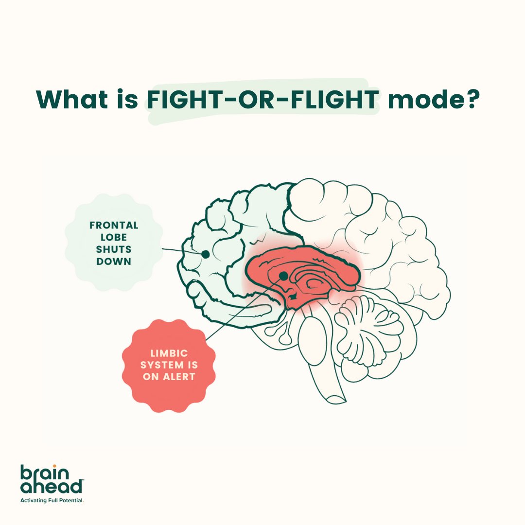 Sometimes the #limbicsystem is called the primitive or automatic system &amp; this is partly because it plays a role in our fight-or-flight &amp; emotional responses. If you're stressed, the  system takes over control from our #frontalsystem which can sometimes have negative effects.