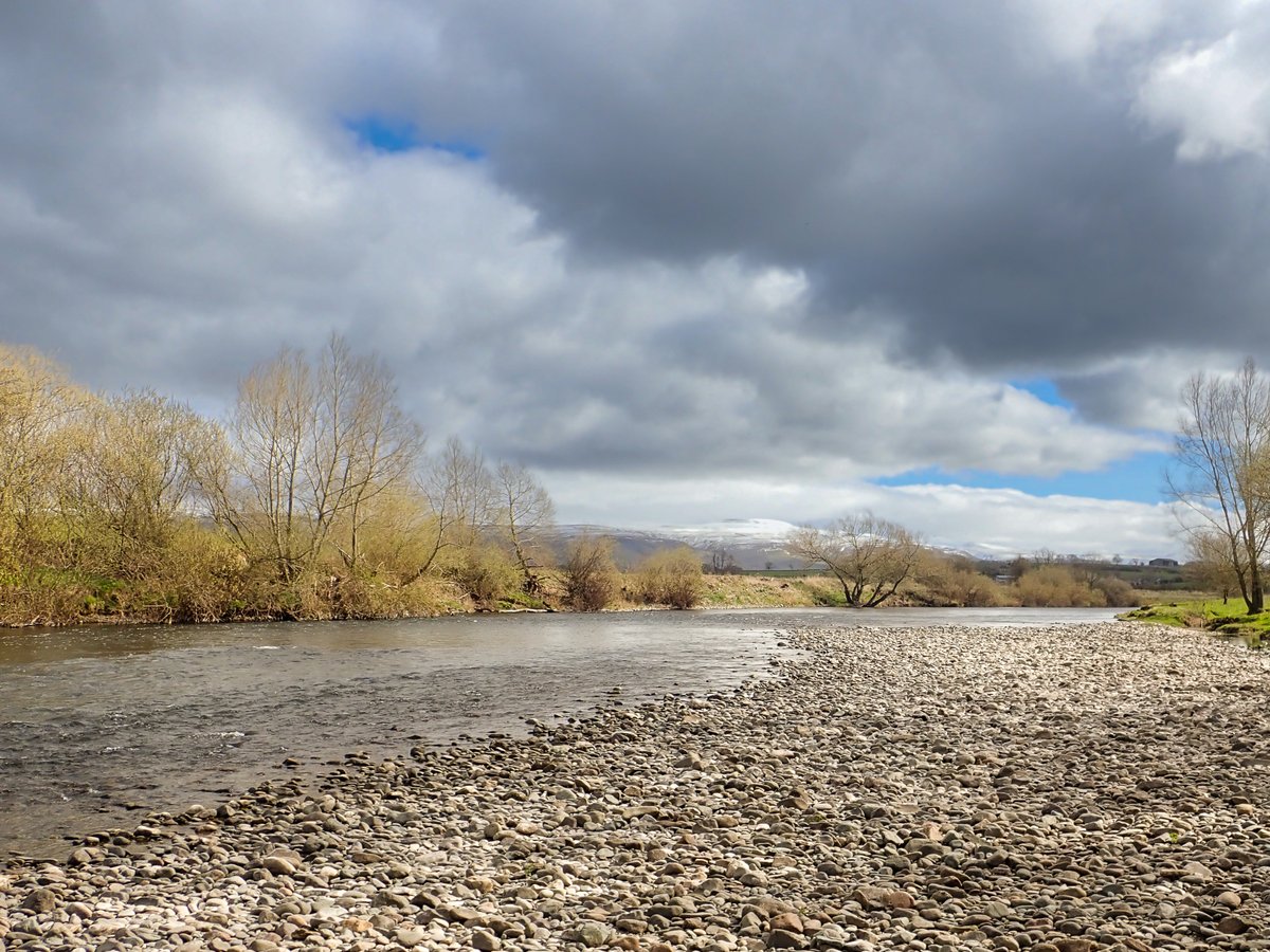 One of our River Eden beats with the snow-covered Pennines providing a stunning backdrop. This scenic beat fishes well for salmon &amp; trout, has private parking &amp; 2 fishing huts. On the day this was taken there were big hatches of LDO's, MB's &amp; IB's, bringing trout to the surface.