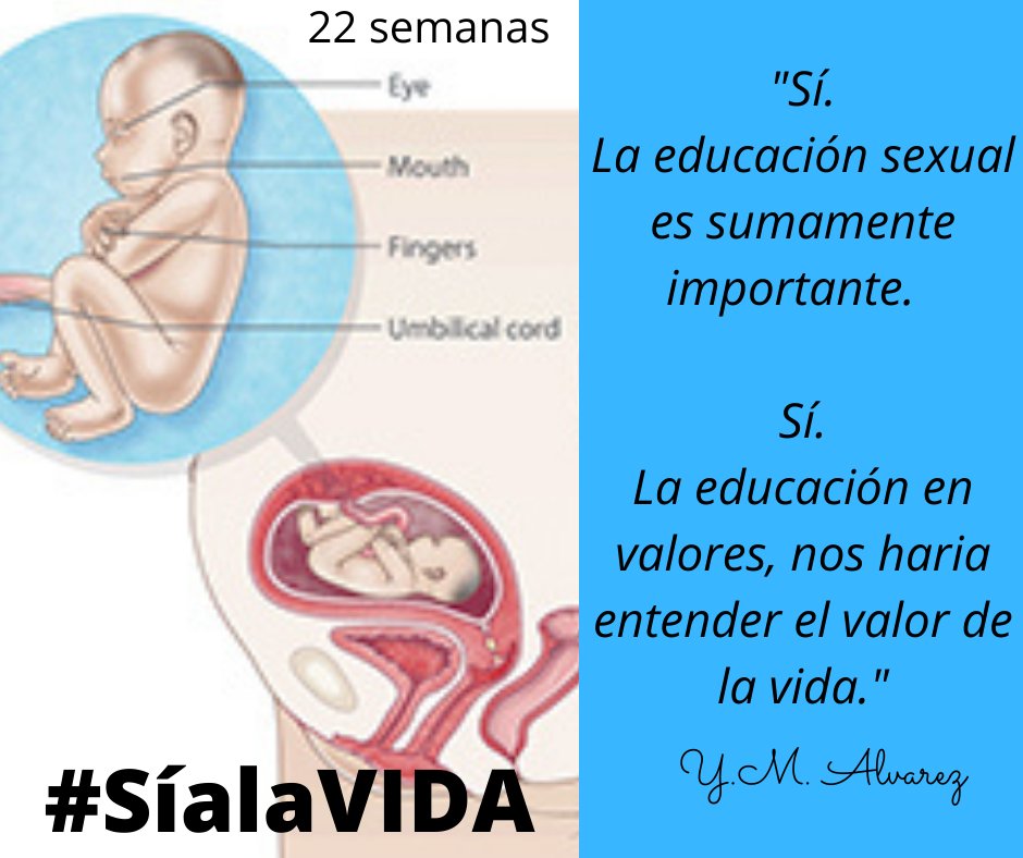 MujeresporPR's tweet photo. Estamos en el s21. Las mujeres y madres fomentamos  la buena ed.sexual en ciencia no corrupta +verdad. Lo demás es una barbarie. La MUJER tiene derecho a nacer y a saber cuando le mienten para hacerla carne de cañón por la industria de la muerte.
#Provida = #Prociencia=#ProAmor https://t.co/fgNCcnKLGt