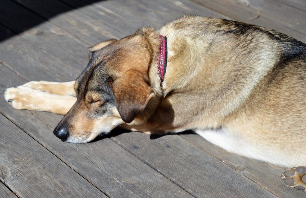 BlueBlue96yo's tweet image. 💕