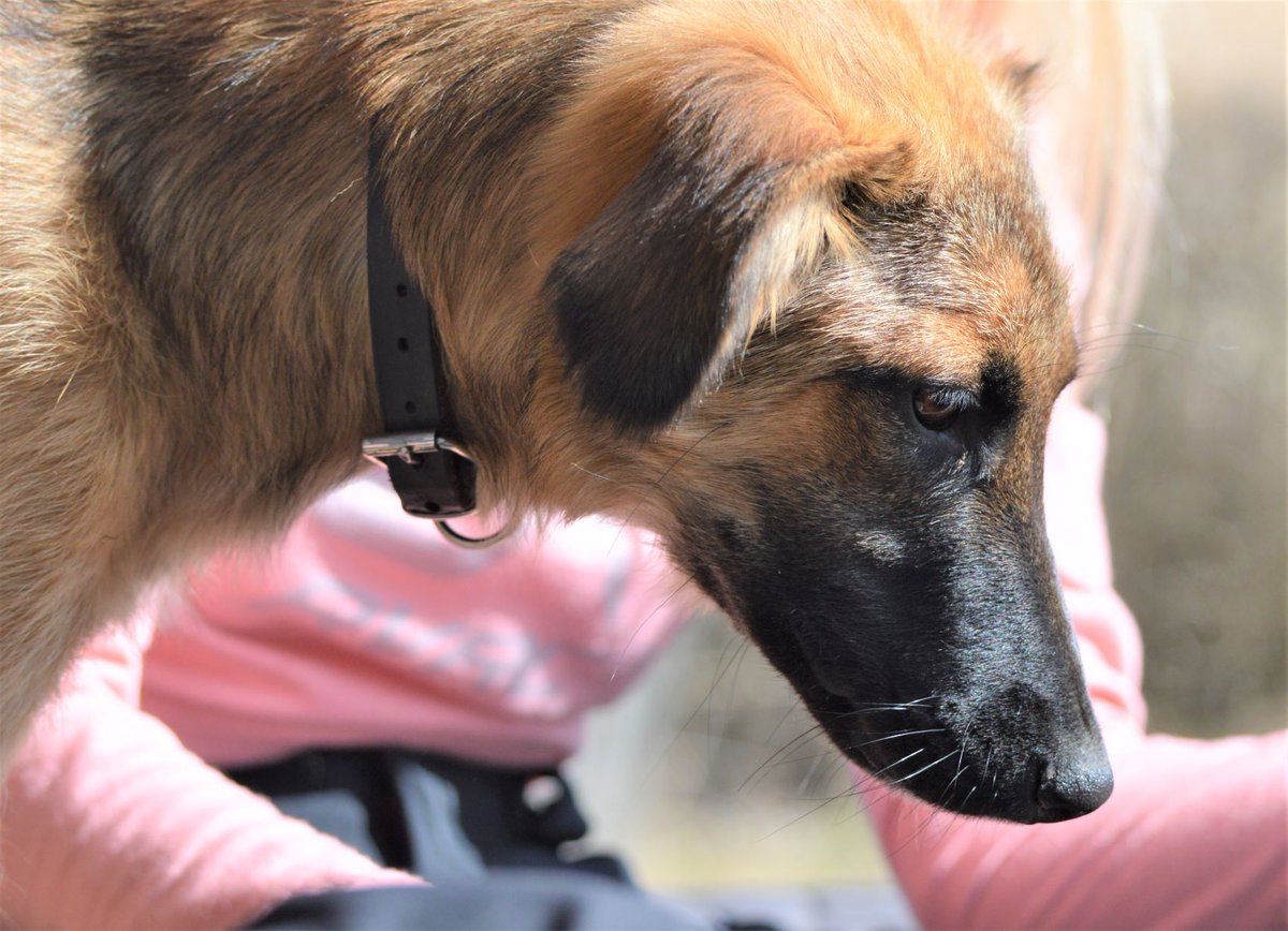 BlueBlue96yo's tweet image. 💕