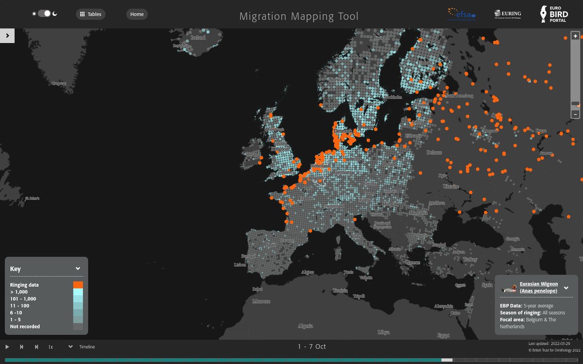 Our new EURING / EBP / EFSA Migration Mapping Tool is being launched this evening at EBCC2022. It combines up-to-date relative abundance data via a live data feed from eurobirdportal.org with movement data from EURING.  See euring.org/migration-mapp… for more.