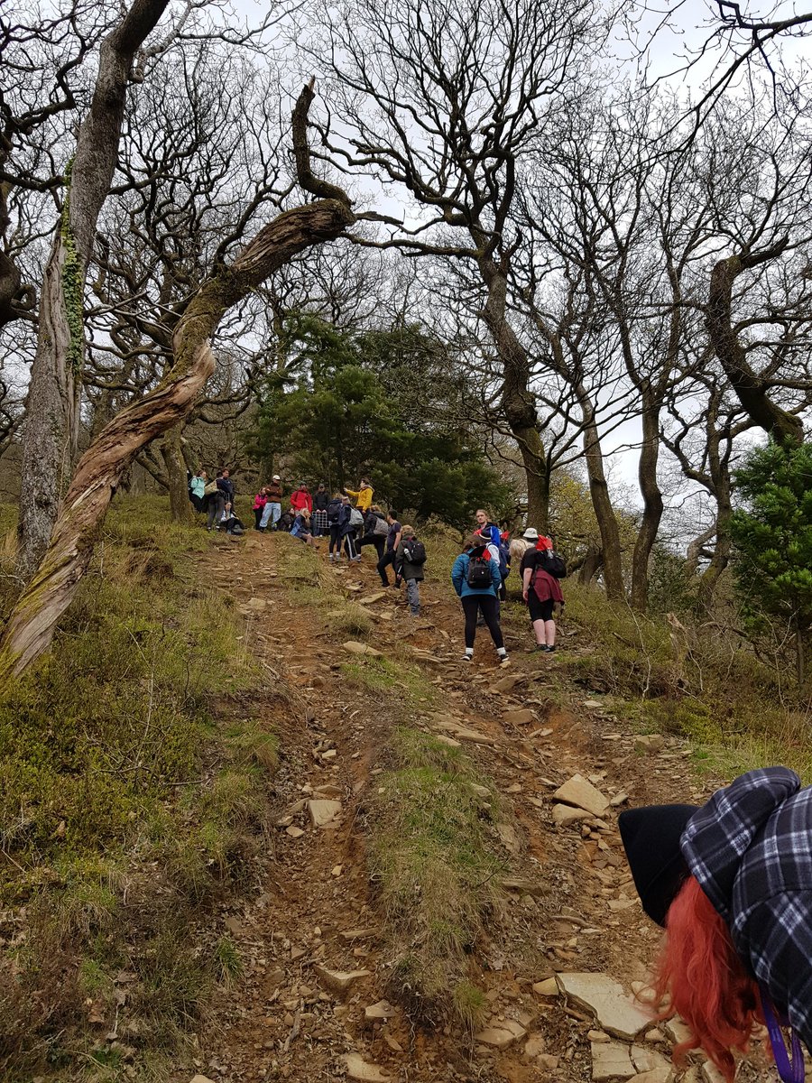 alienplantgirl's tweet photo. First full day at @FSCMargam with Biologists surveying ancient oak woodland @BiologySwansea @swanscience #biologyfieldcourse https://t.co/76nGHYz9WV