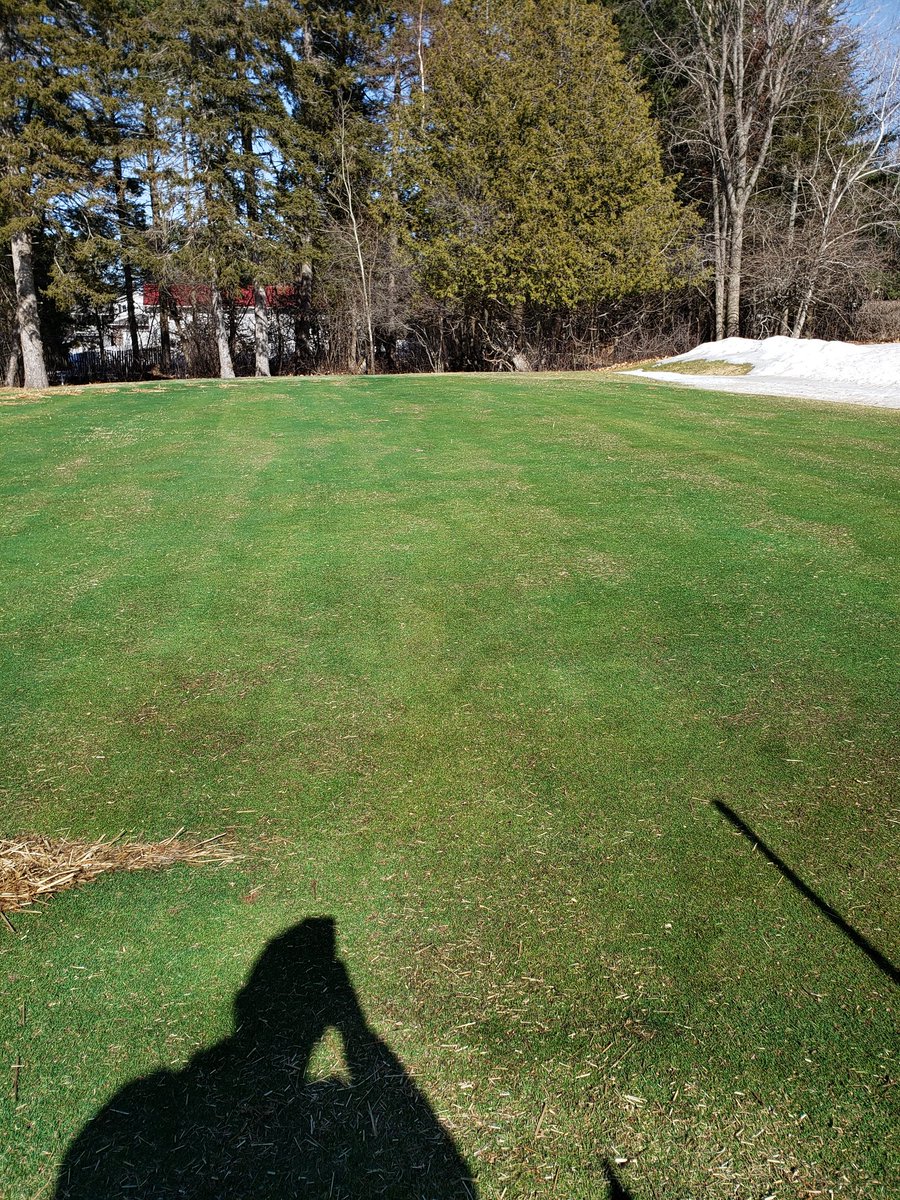 Thomas Breau tweet media