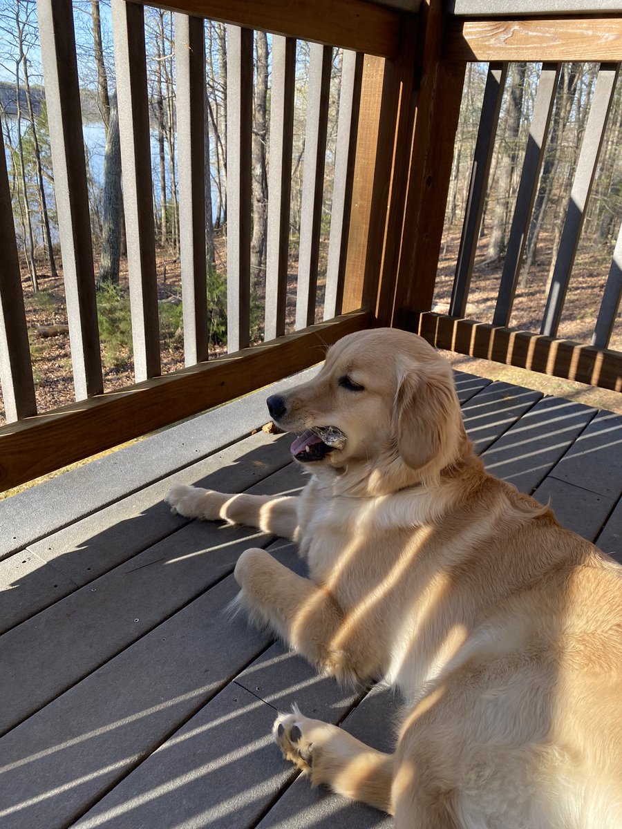 dttheel's tweet photo. @VAStateParks Count us among them. Occoneechee Stete Park for us. https://t.co/xX7QSnh12L