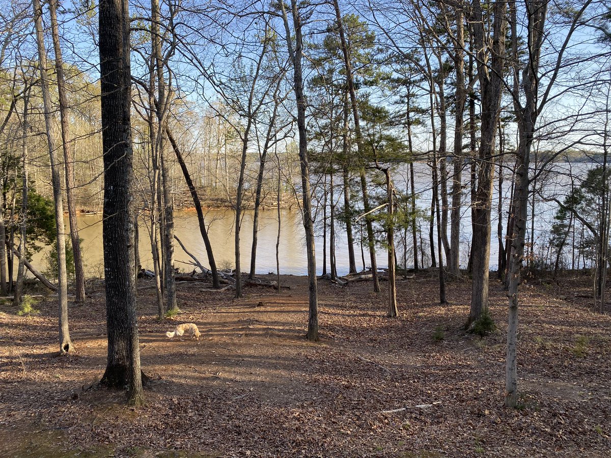 dttheel's tweet photo. @VAStateParks Count us among them. Occoneechee Stete Park for us. https://t.co/xX7QSnh12L
