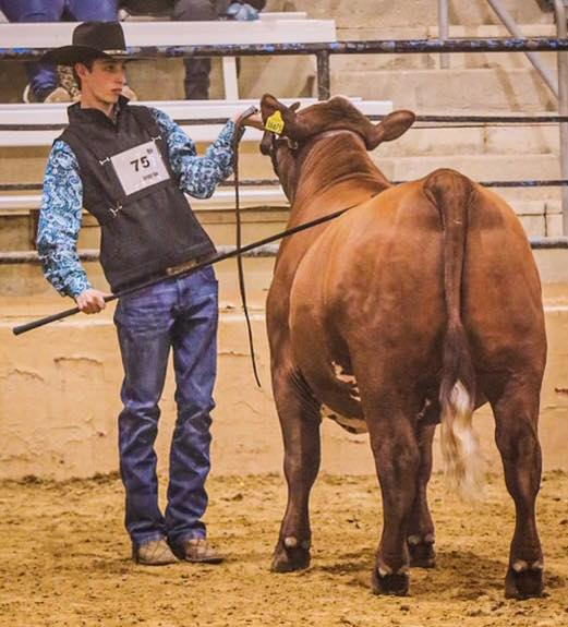 TheAdvancedFin1's tweet photo. Proud to be a supporter of the 2022 Angelina County Fair and LHS FFA. https://t.co/oj1VkJuxTf