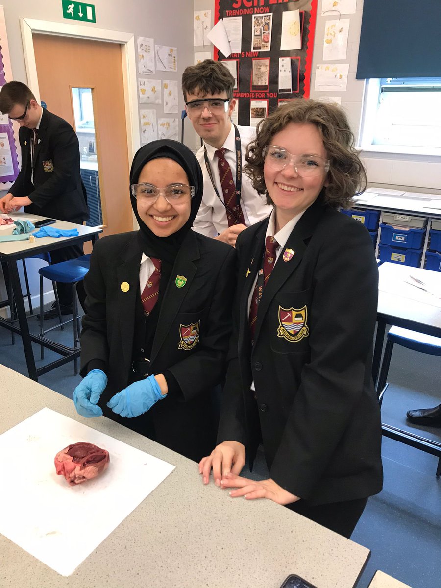 Wath_Science's tweet photo. World class practical work from our 12D Biologists while learning about the heart ❤️ #worldclasslearning #disection @WathAcademy @Wath_SixthForm https://t.co/g0x84H1JJq