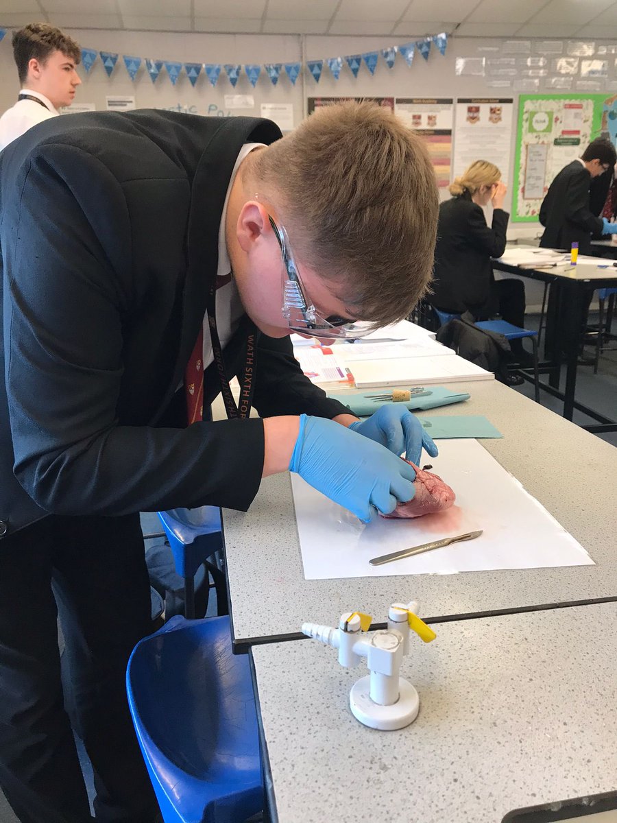 Wath_Science's tweet photo. World class practical work from our 12D Biologists while learning about the heart ❤️ #worldclasslearning #disection @WathAcademy @Wath_SixthForm https://t.co/g0x84H1JJq