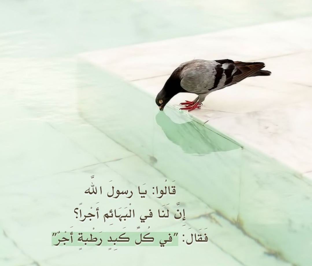 ﮼صدقه جاريه🤍 (@s_iii550) on Twitter photo 