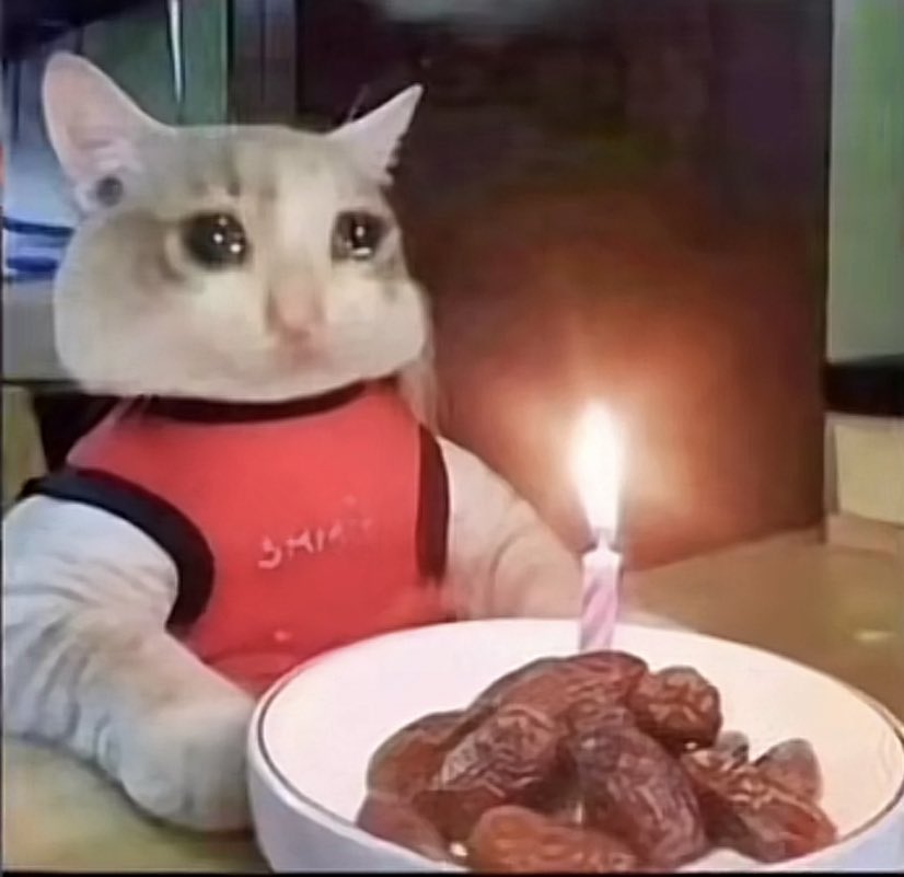 shmmmsa's tweet photo. born in april : https://t.co/tloQZrtLlf