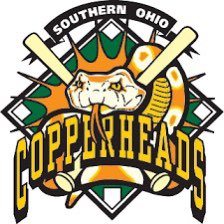 I am looking for a pitching coach for this upcoming summer! If you are interested in coaching collegiate summer ball shoot me a DM! ⚾️🐍