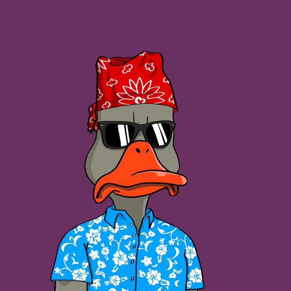 s4muel_eth's tweet photo. My first #noncoduck!
Let me hear you all #Quack #DucksFlyTogether #DucksUnited
@noncoducks https://t.co/1e8RmWvB5I