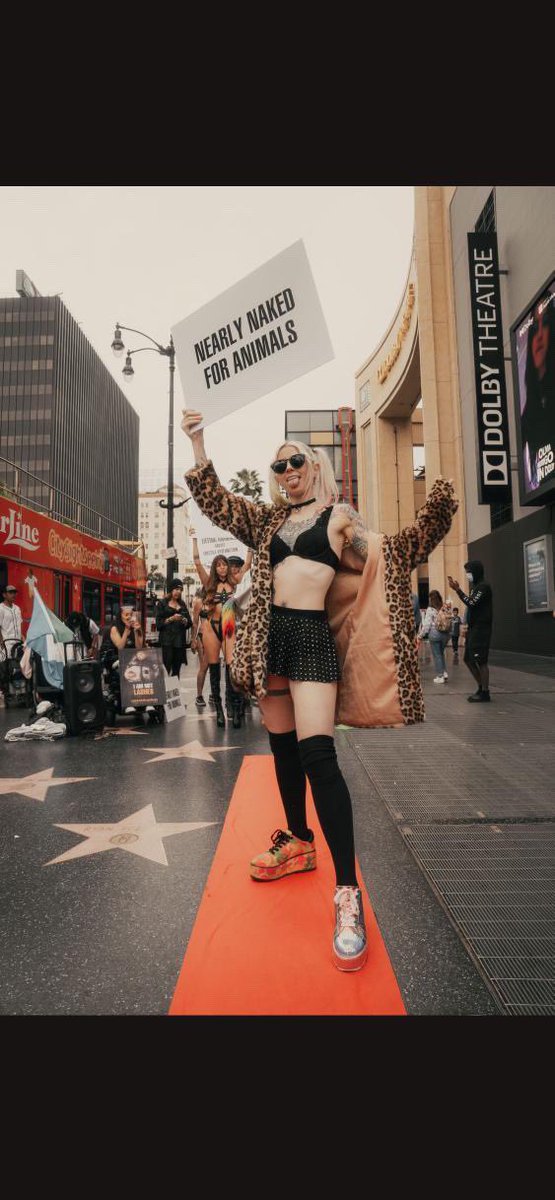 TRICIAxPAIN's tweet photo. 💖🌱💚Nearly Naked For Animals on Hollywood Blvd with some epic humans🖖👽! @AnimalAllianceN @animalsavemvmt @laanimalsave #vegan #plantbased #friendsnotfood #thesavemovement #hollywood #laanimalsave #animalalliancenetwork https://t.co/WAz0NbFe2n