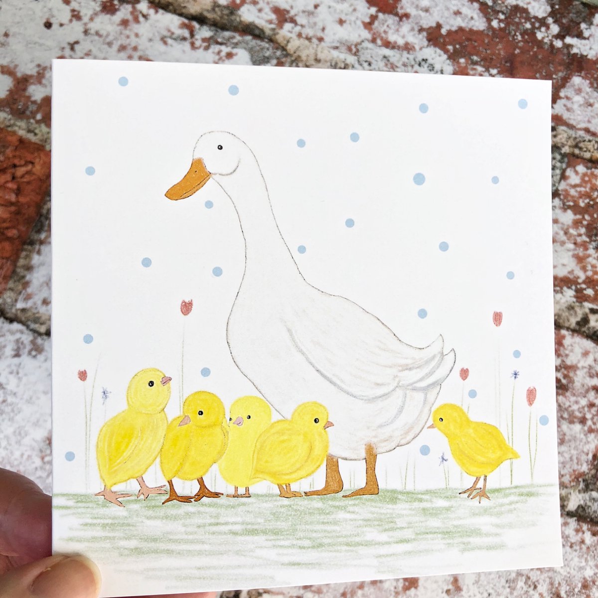vrw123's tweet photo. Here's a little selection of the cards available from my Etsy shop  https://t.co/LftnDUG2rm. My new cat card is raising money for Hounslow Animal Welfare Society who look after abandoned pets. All card prices include free UK P&amp;P.

#womaninbizhour #YourBizHour https://t.co/zOkQggjSPA