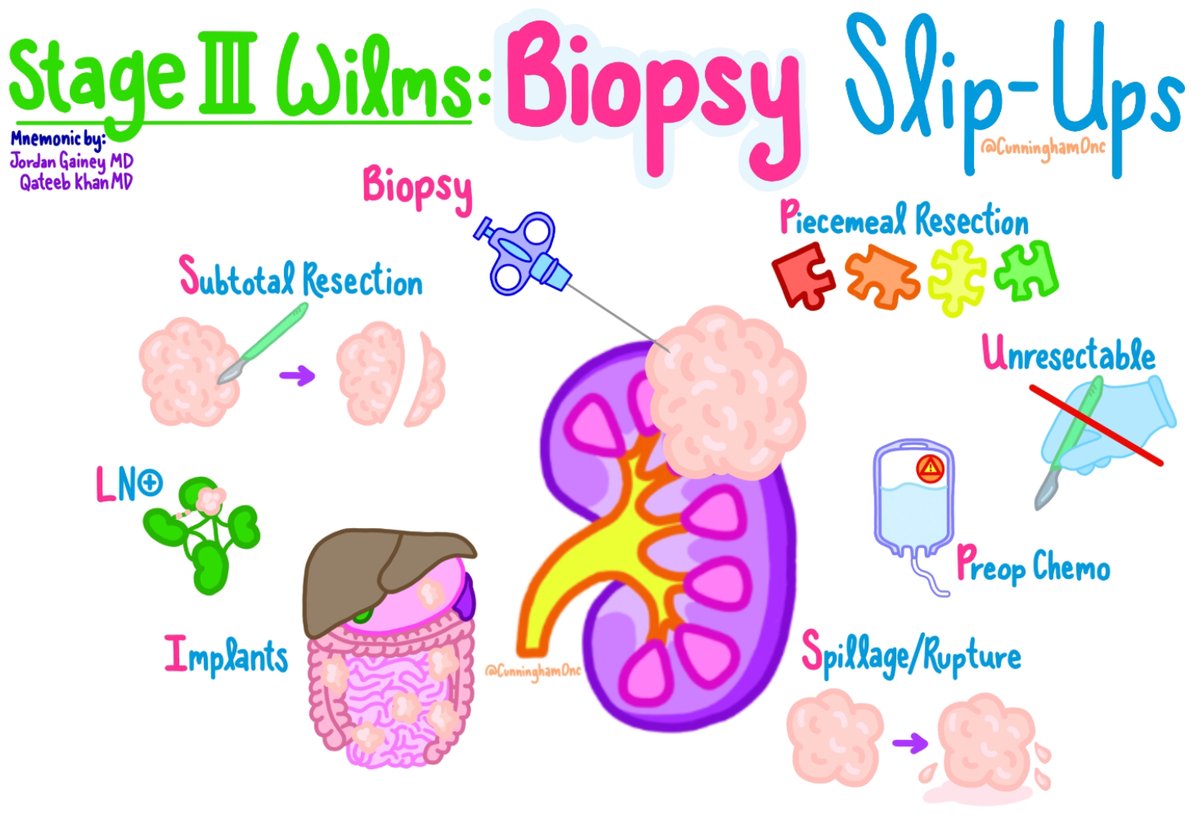 Danielle A. Cunningham, MD (@cunninghamonc) on Twitter photo Biopsy SLIP-UPS: A new mnemonic to define Stage III Wilms tumor. Biopsy, STR, LN+, peritoneal Implants, Piecemeal resection, Unresectable, Preop chemo, and Spillage/rupture.
Thank you <a href="/JordanGaineyMD/">Jordan Gainey</a> & <a href="/QatKhanMD/">Qateeb Khan</a> for creating this mnemonic and sharing it with me. Biopsy SLIP-UPS: A new mnemonic to define Stage III Wilms tumor. Biopsy, STR, LN+, peritoneal Implants, Piecemeal resection, Unresectable, Preop chemo, and Spillage/rupture.
Thank you <a href="/JordanGaineyMD/">Jordan Gainey</a> & <a href="/QatKhanMD/">Qateeb Khan</a> for creating this mnemonic and sharing it with me.