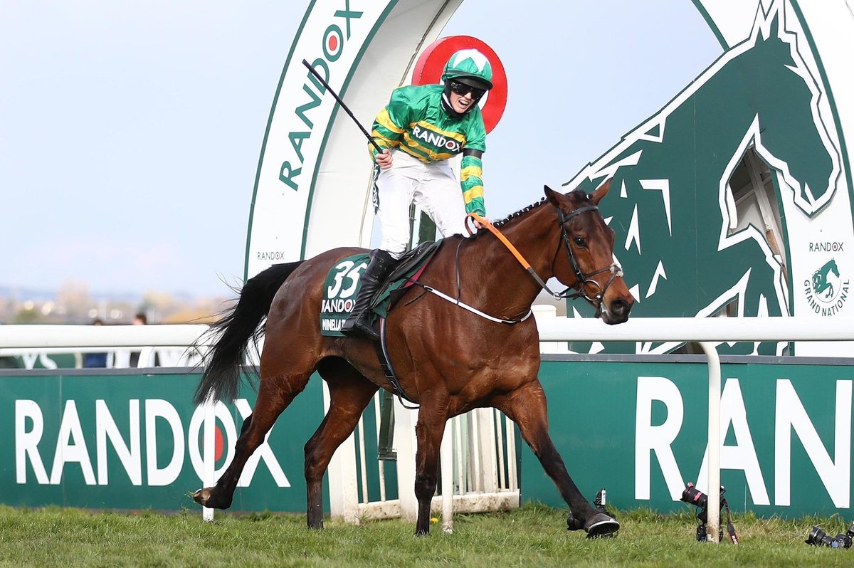grand national 2022 betting odds grand national 2022 betting odds
