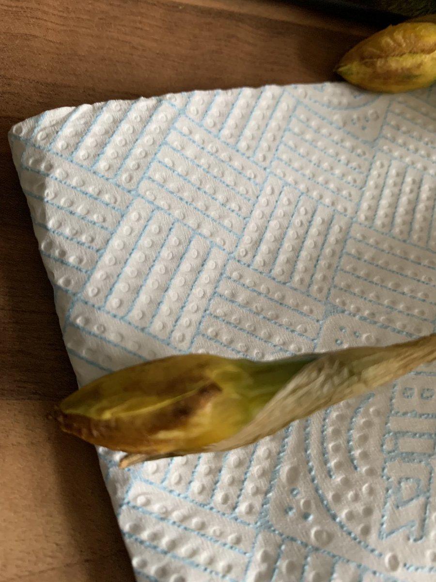 Paul Richard Dyer tweet media