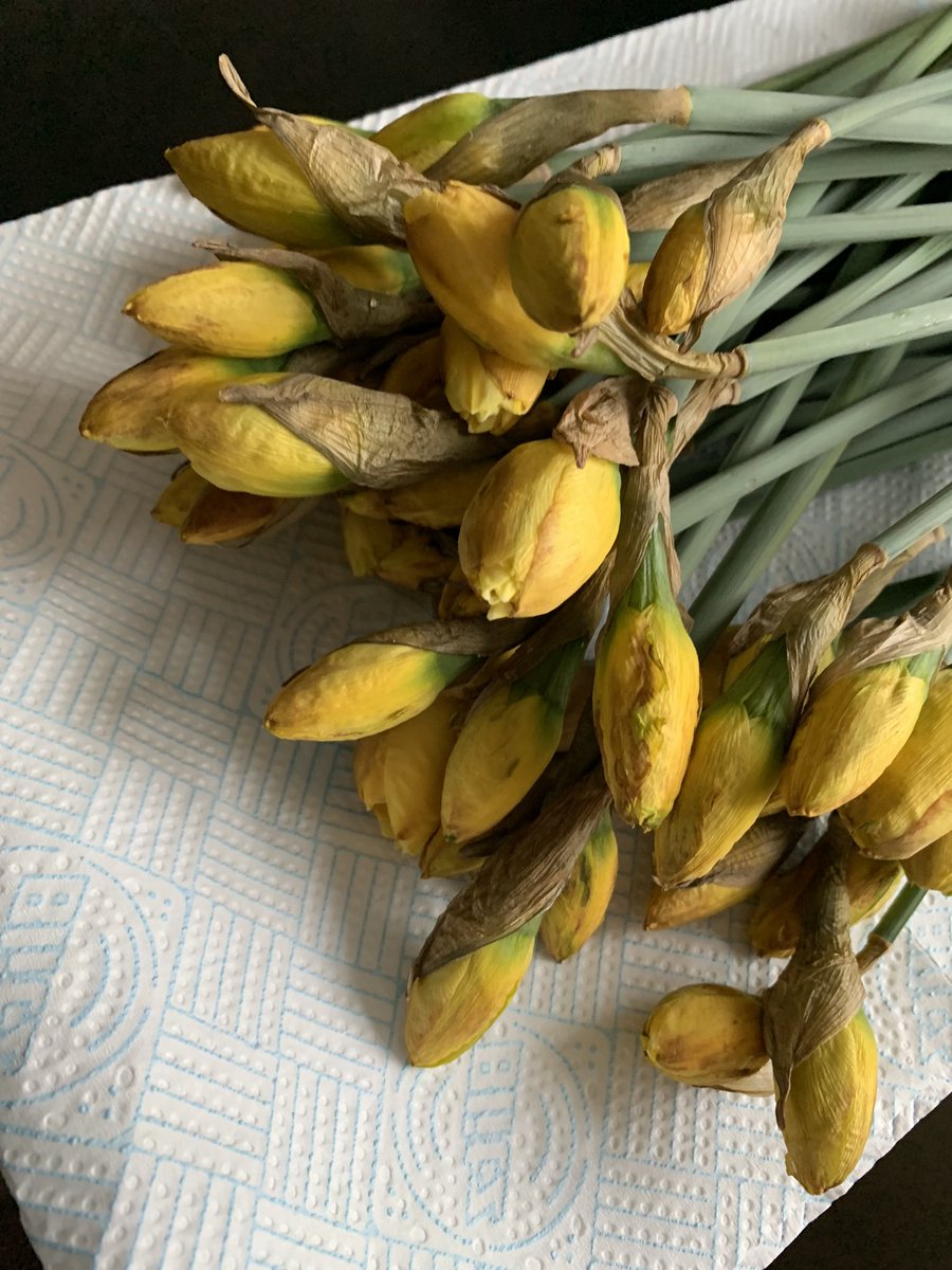 Paul Richard Dyer tweet media