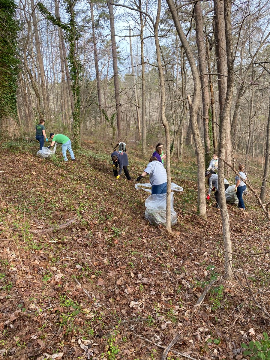 SC_State_Parks's tweet image. Volunteers from @Publix Supermarkets came out to Paris Mountain State Park, recently, for Publix Serves Week. These 60 volunteers removed 125 garbage bags of invasive English ivy from the park. We appreciate their efforts in helping keep Paris Mountain State Park pristine!