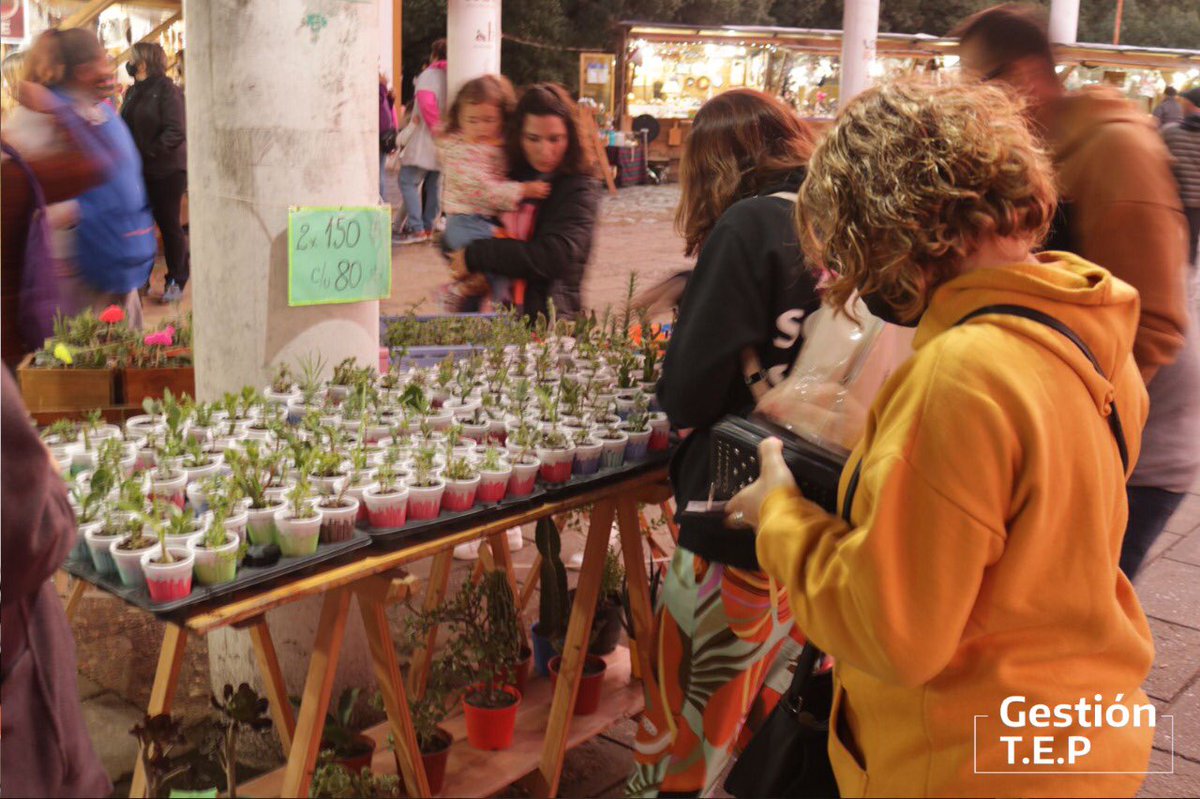 Gestion_TEP's tweet photo. 🌈FERIA CUATRO ESTACIONES

💁‍♀️Te invitamos a visitar esta hermosa feria de Necochea. Se encuentra entre las calles 10 y 93, en la puerta del Museo Histórico Regional de Necochea.
¿Qué te llevarías de ahí? https://t.co/jMNeGR8IKj