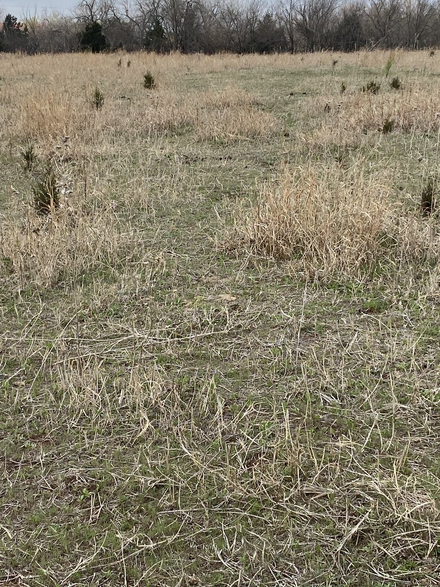 Oklahoma Conservation Commission tweet media