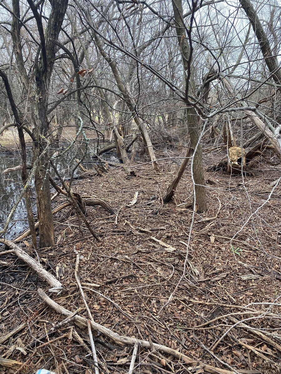 Oklahoma Conservation Commission tweet media