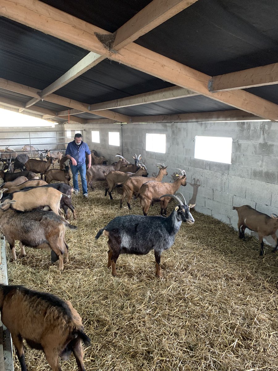 PHSNormandy's tweet image. 