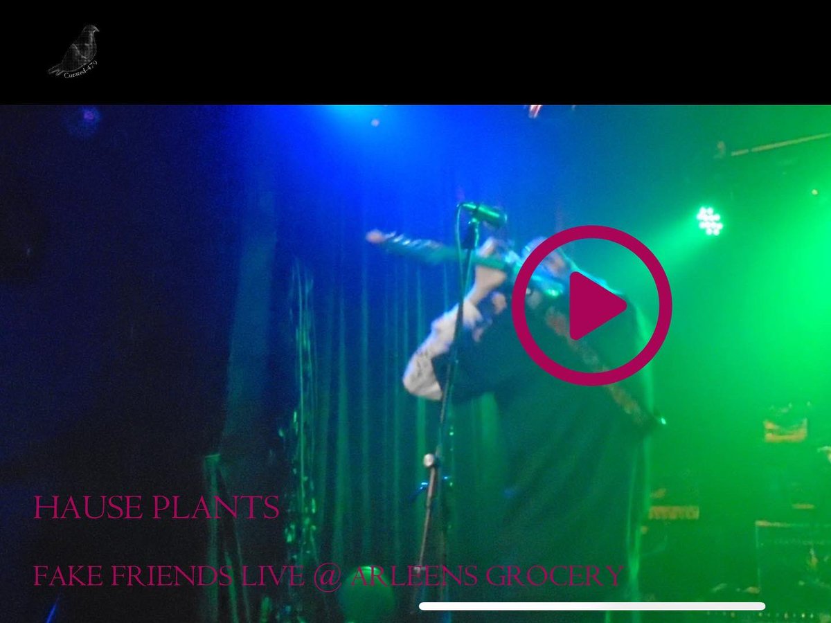 Curated479's tweet photo. Fake Friends Live on site + YouTube

@hauseplants preforming @ Arleen’s Grocery for the @newcolossusfestival 

@daniwhizzbang , @jantonions , &amp; @jsimoes95 https://t.co/Lm0QwcbHUA