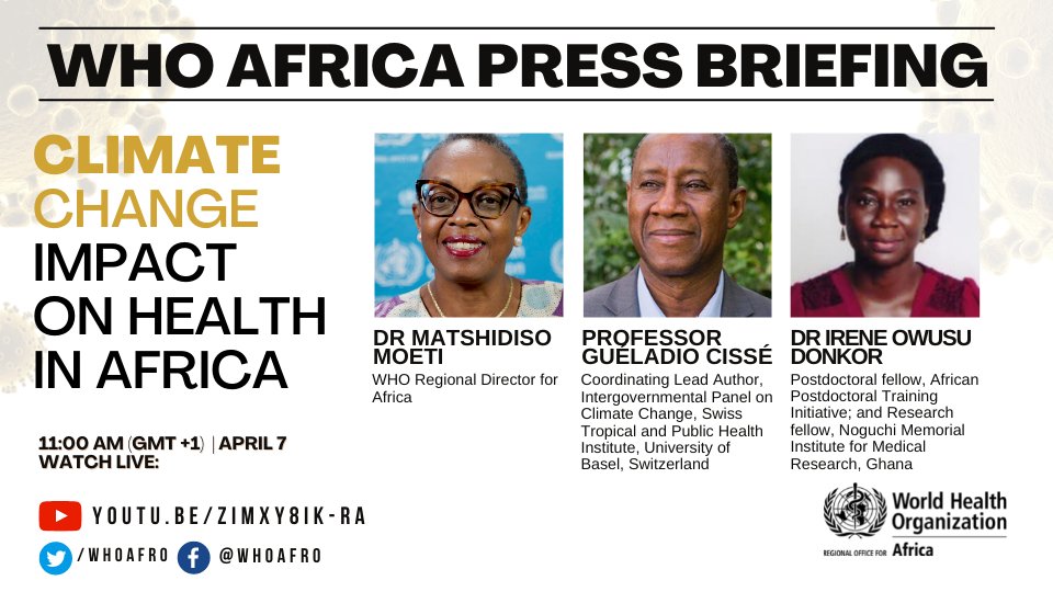 WHOAFRO's tweet photo. Don't miss Thursday's press briefing on the impact of climate change on health in #Africa. Dr @MoetiTshidi is joined by @SwissTPH's Professor Guéladio Cissé &amp; @NMIMR_UG's Dr Irene Owusu Donkor.

🗓️ Thursday 7 April
🕚 11 AM GMT+1
📺 https://t.co/kj5rTMD8IL

#WorldHealthDay2022 https://t.co/jTu8gMln1D