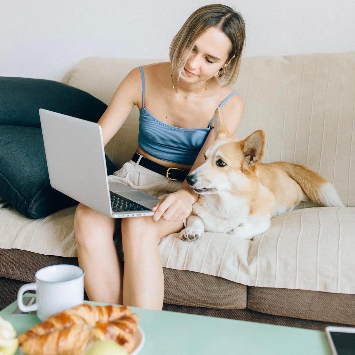 Deeleeo Inc. tweet media