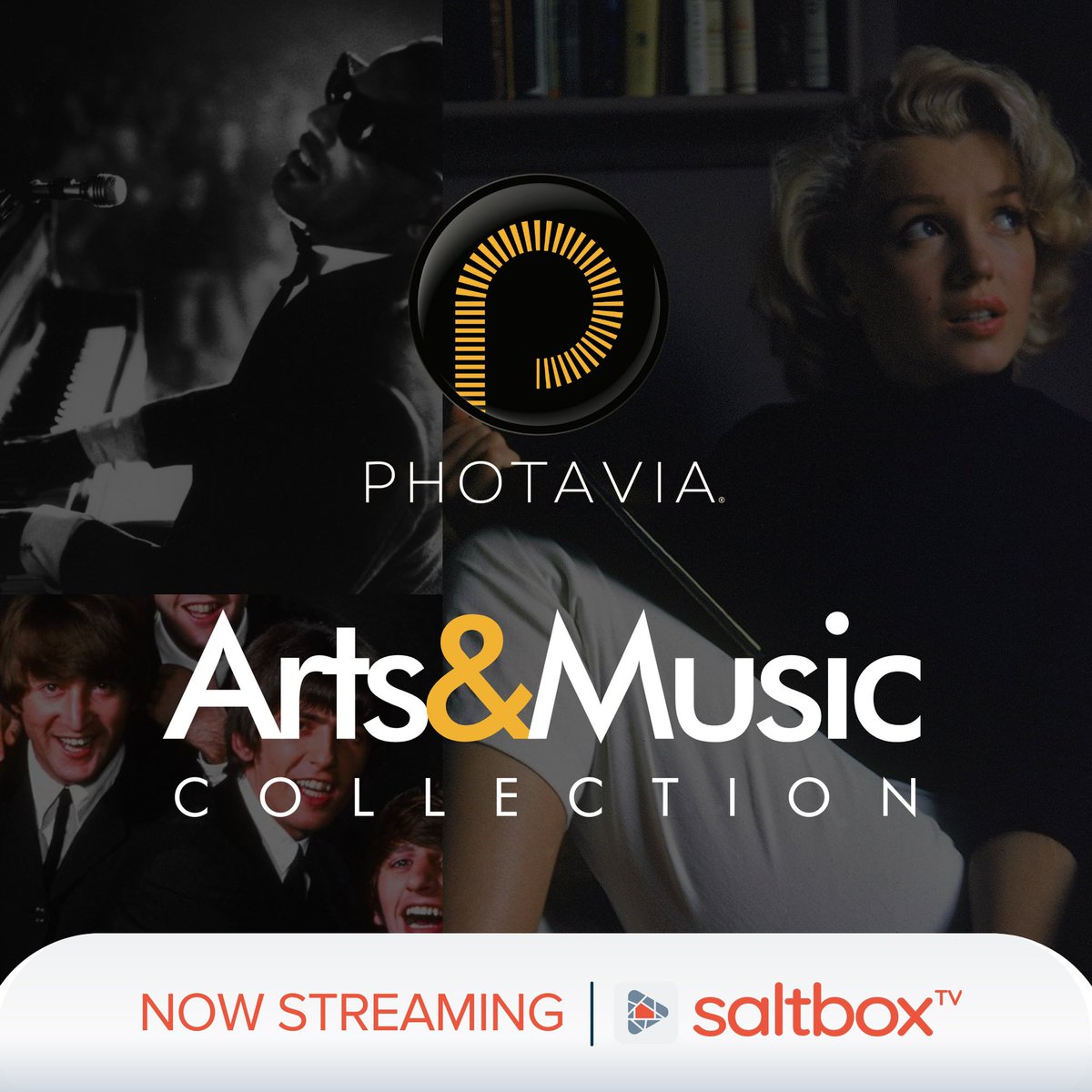 Check out some new releases on Saltbox TV! Episodes from the Photavia: Arts and Music collection are now available. Stroll down memory lane with these new episodes: "Marilyn Monroe," "Bass Player Hands," and "Steve McQueen." Reminisce with Relevance with Photavia!