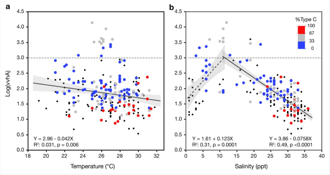 ASMicrobiology's tweet photo. Vibrio vulnificus is usually associated w/ warm tropical waters. In the absence of strong seasonal variation in water temp, variation in salinity driven by rainfall was shown to be the primary controlling variable on its abundance in Hawaii. @AppEnvMicro https://t.co/OcMB7qHY8W https://t.co/JxAtQQGBlF