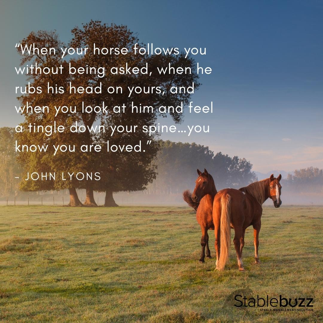 stablebuzz's tweet image. “When your horse follows you without being asked, when he rubs his head on yours, and when you look at him and feel a tingle down your spine…you know you are loved.” – John Lyons

#horses #lovinghorses #equestrian #horsemanagementsoftware #stablemanagement #horsequote