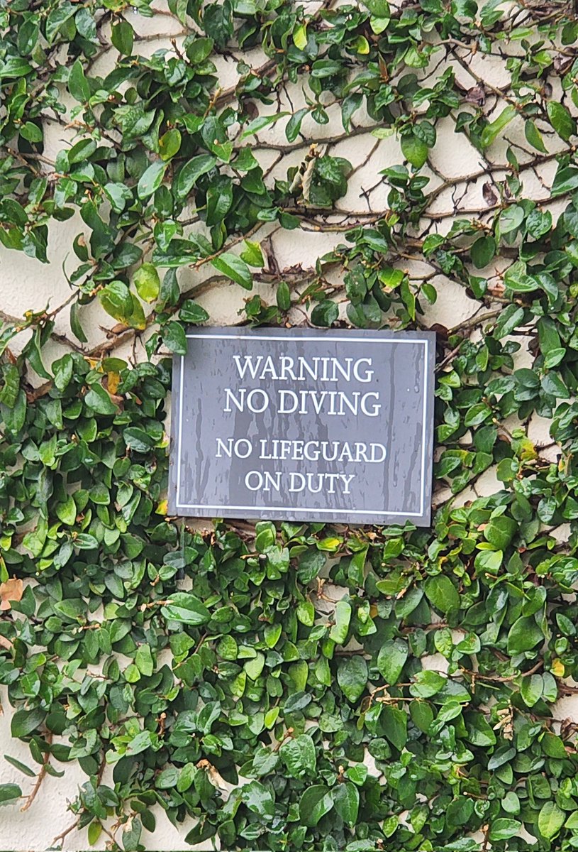 SkinworksS's tweet photo. No one's coming to save you. Get your shit together and join the Small Business Mentorship Program here https://t.co/I3w0TlmPTP https://t.co/RA2In3jcL3