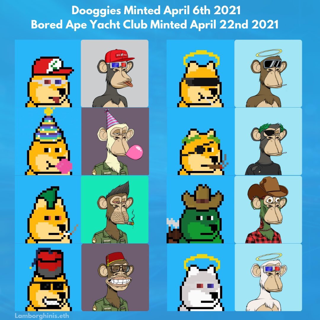alltimehigh305's tweet photo. This is kinda of nuts... @DooggiesNFT Vs. @BoredApeYC https://t.co/9RHLZLyXg8