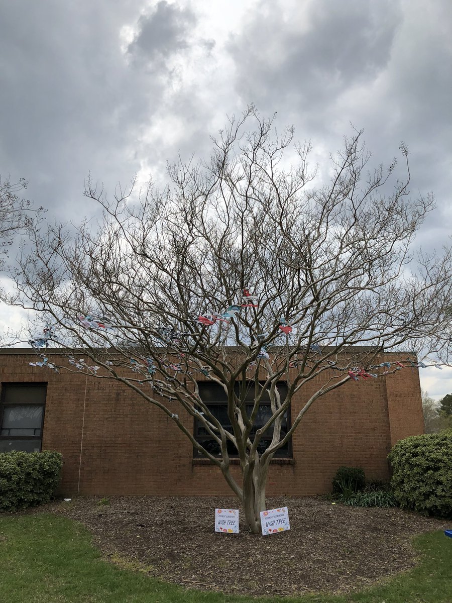 Rosemont Elementary students made wishes on our very own Wishtree after reading the book!! <a href="/carihall72/">Cari Hall</a> <a href="/RosemontEagles/">Rosemont Elementary</a> @jamie_wyss