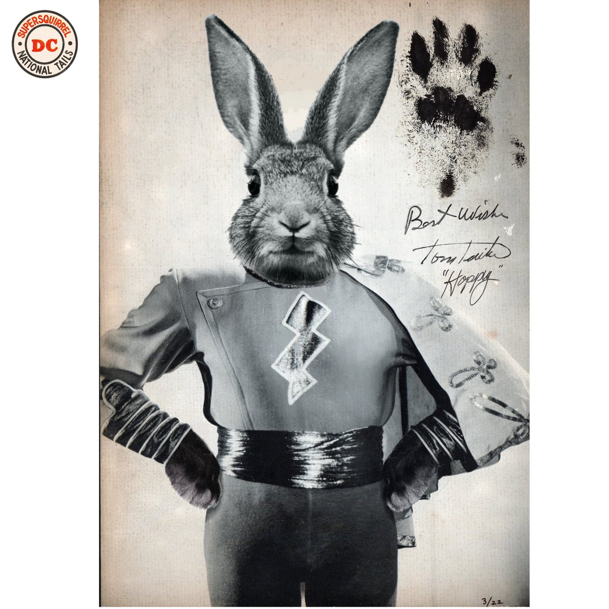RealMarvelTails's tweet photo. Golden Age Tails Bonus Material! Tom Tailer is Hoppy the Marvel Bunny! #marveltails #dccomics #comicart #animalart #superhero #goldenage #goldenagecomics #fawcettcomics #captainmarvel #shazam #rabbit #bunny #republicserial #movie https://t.co/Gva3F5SyCG
