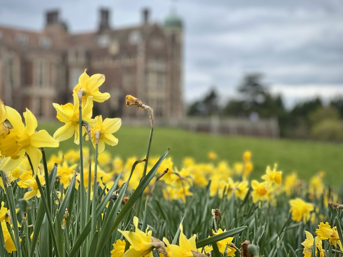 PictureGenie tweet media