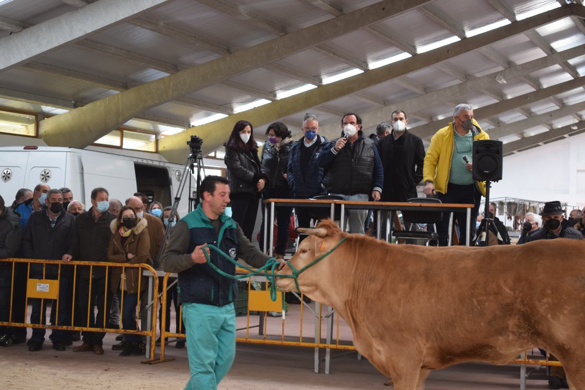 📢 Respaldo ao labor das entidades que, como <a href="/acruga1/">acruga</a>, dinamizan🔝 o rural galego

A subdelegada do Goberno en #Lugo, Isabel Rodríguez, asistiu á poxa de novelas de raza rubia galega 🐂 en #PedrafitadoCebreiro