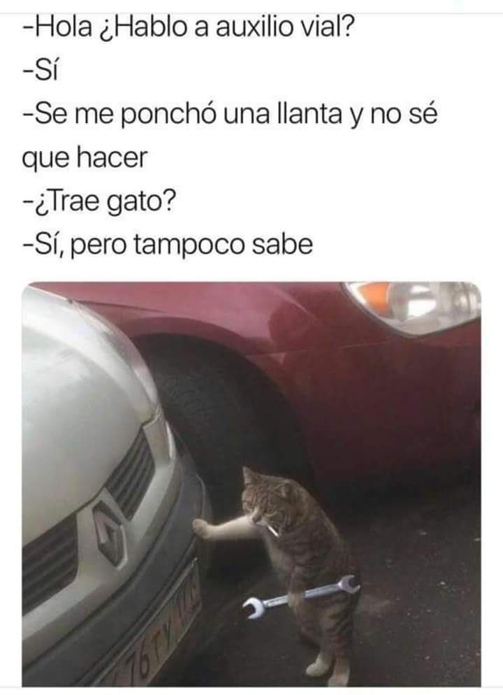Certeza_agentes's tweet photo. Tu seguro de auto te ayuda con esos imprevistos para que no te quedes en el camino. Cambio de llanta, paso de corriente, gasolina, cerrajero, grúa y más.

Contáctanos y te ayudamos a revisar tu póliza.
https://t.co/rHyf1ltwBr

Cotizar el seguro de tu auto:
https://t.co/wtHdXlBost https://t.co/aNGFuehHkK